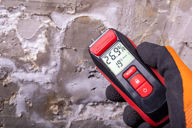 Best Mold Removal and Inspection  in Penbrook, PA